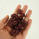 食品サンプル フェイク ドライフルーツ クランベリー レーズン ブラックベリー ラズベリー おままごと ごっこ遊び おもちゃ 知育 食材模型 ディスプレイ PV...