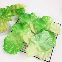 フェイク野菜 レタスの葉 食品サンプル リアル 本物そっくり PVC素材 撮影用 フォトプロップス 飲食店装飾 店舗ディスプレイ インテリア 農家風(x5)