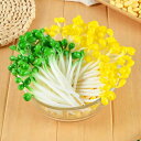 食品サンプル 豆もやし 大豆もやし 緑豆もやし 精巧 リアル フェイク野菜 PVC製 飲食店 料理 盛り付け ディスプレイ 見本 陳列用 置物(x5)