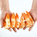 キーホルダー ホッキョクエビ リアル 食品サンプル 海老 ストラップ バッグチャーム PVC製 精巧なジャンボシュリンプ デイリーユース フェイクフード(x5)