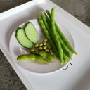 おもちゃ 子供 キッズ フェイクフード 食品サンプル きゅうり スライス インゲン豆 枝豆 野菜 フルーツ 撮影用 ディスプレイ おままごと ごっこ遊び