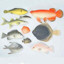 食品サンプル リアル 魚模型 秋刀魚 多宝魚 大頭魚 草魚 翹嘴魚 紅鯉魚 鯉 鮒 鯛 置物 ディスプレイ インテリア装飾 高品質 PU素材 成形品 飲食店 撮影小道具 展示用