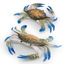 フィギュア キッズ 子供向け リアル 精巧 ミツボシガニ 大型 海洋生物 カニ 蟹 PVC製 精密模型 インテリア ディスプレイ 置物 オブジェ 観賞用 飾り