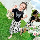 キッズ 女の子 カジュアル セットアップ 蝶柄 プリント 半袖Tシャツ バルーンパンツ 長ズボン 綿 薄手 柔らか 普段使い 部屋着 お出かけ 2点セット 夏 韓国風 かわいい