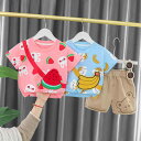 ベビー服 女の子 夏服 韓国風 半袖 ショートパンツ 2点セット パンツセット プリンセス おしゃれ かわいい 綿 キャラクター フルーツ柄 普段着 お出かけ