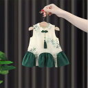 ベビー 女の子 新中式 チャイナドレス 唐装 漢服 コットン グリーン スカート ツーピース 春夏 かわいい 普段使い お出かけ