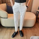 スラックス メンズ 男性 クロップドパンツ アンクル丈 ビジネス 通勤 オフィス フォーマル 無地 ストレート ポリエステル 防シワ 形態安定 ストレッチ 春夏 ボトムス
