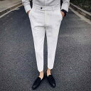 スラックス メンズ 男性用 春夏 スリム テーパード 無地 カジュアル 韓国風 クロップド 九分丈 若者向け ポリエステル混 ストレッチ ノーアイロン 普段使い オフィス