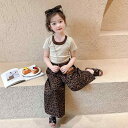 セットアップ 女の子 ガールズ 半袖 パンツ ヒョウ柄 薄手 綿 コットン 子供服 キッズ 韓国風 かわいい おしゃれ 春夏 カジュアル 上下セット