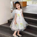 ワンピース 女の子 夏 プリンセスドレス 結婚式 フラワーガール 誕生日 パーティー フォーマル 発表会 ステージ 衣装 白 ポリエステル 綿