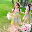 ワンピース 女の子 キッズ ベビー 子供用 プリンセスドレス フリル袖 ノースリーブ バタフライ 背中デザイン Aライン フレア スイート かわいい おしゃれ ポリエステル 夏 お出かけ 誕生日 発表会 フォーマル