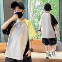 Tシャツ キッズ 男の子 半袖 クルーネック ゆったり 薄手 吸湿速乾 切り替え 配色 綿混 コットン 通学 普段使い カジュアル 春夏 グレー