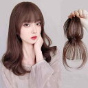 ウィッグ レディース フレンチシースルーバング 3D 頭頂部用 部分ウィッグ ヘアピース ナチュラル 目立たない シームレス 高品質人工毛 髪型チェンジ 髪量アップ 自然な黒 ライトブラウン ダークブラウン ブラウンブラック
