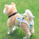 犬用 女の子 生理パンツ サニタリーショーツ 月経期 ズレ防止 漏れ防止 お漏らし対策 衛生用品 介護用品 快適フィット お散歩 室内しつけ用