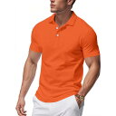 ポロシャツ メンズ 英国風 紳士 速乾 クラシック シンプル 半袖 鹿の子 ポリエステル 形態安定 カジュアル ビジネススタイル 無地 薄手 トップス(x2)