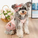 ペット ワンピース 犬用 小型犬 子犬 プリンセス ドレス メッシュ スカート かわいい フリル ポリエステル サクランボ柄 春夏 お散歩 お出かけ ビション テディ トイプードル マルチーズ チワワ ポメラニアン