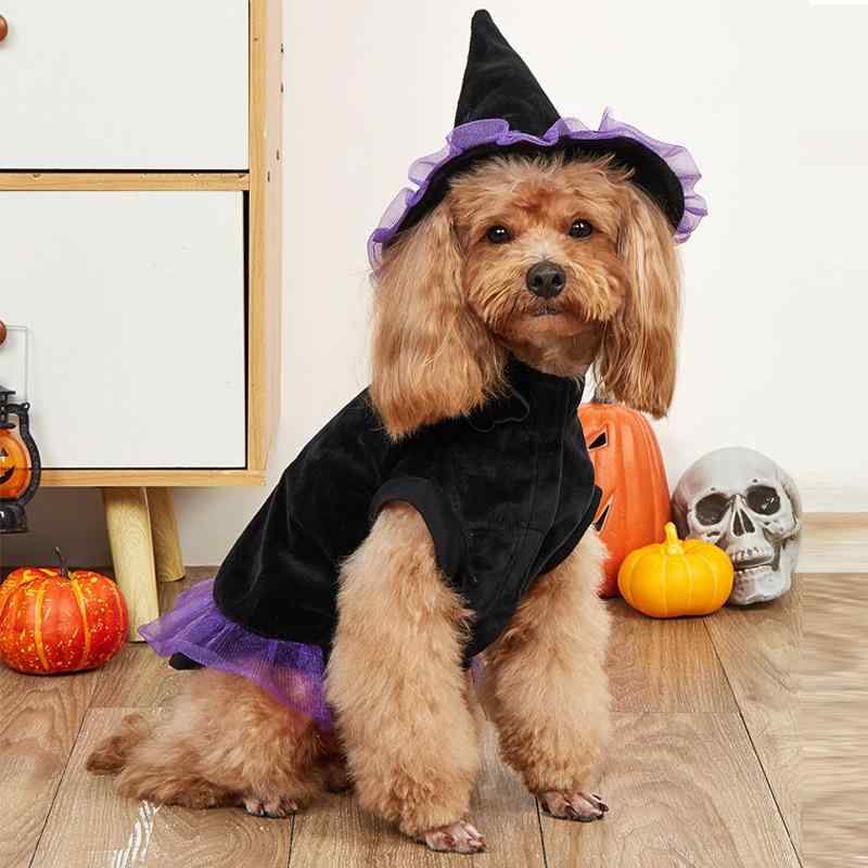 ペット服 犬 猫用 ハロウィン 魔法使い ウィッチ 変身 コスチューム なりきりウェア 仮装 ドッグウェア..