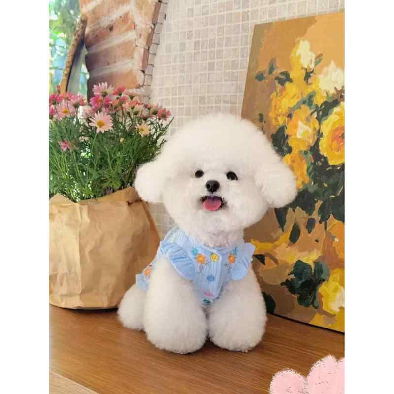 ペット服 ワンピース 超小型犬 子犬 マルチーズ ビションフリーゼ ヨークシャーテリア トイプードル 猫..