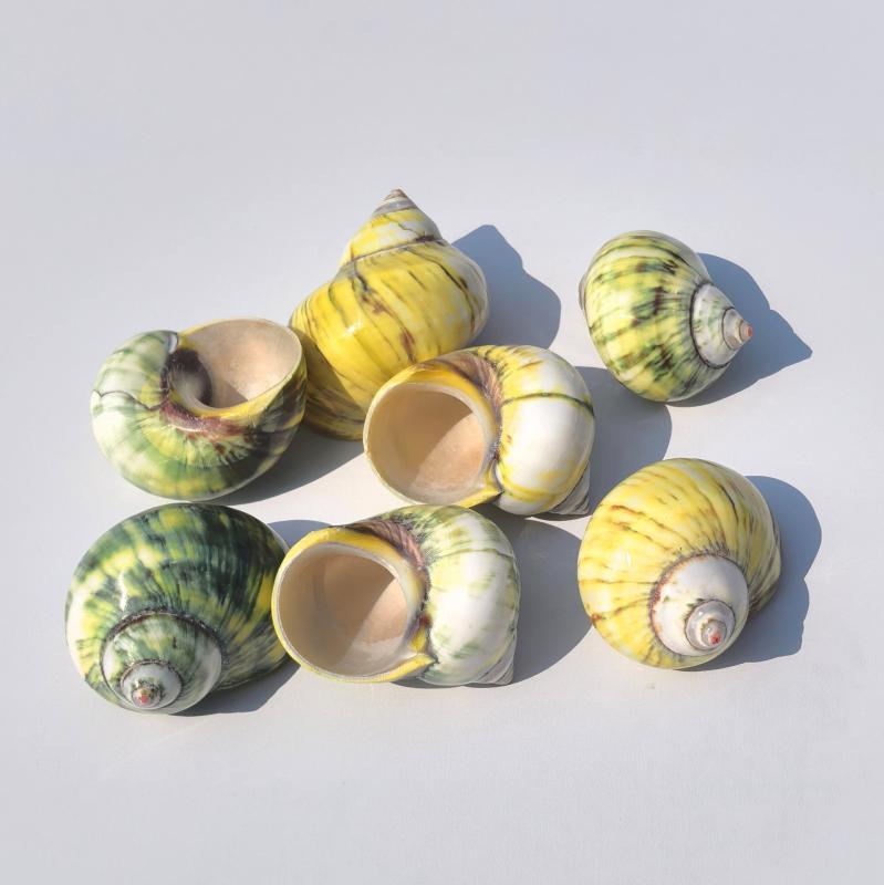 水槽用飾り ヤドカリ 替えシェル グリーンキャッツアイ サザエ 天然 巻貝 アクアリウム 置物 オブジェ ..