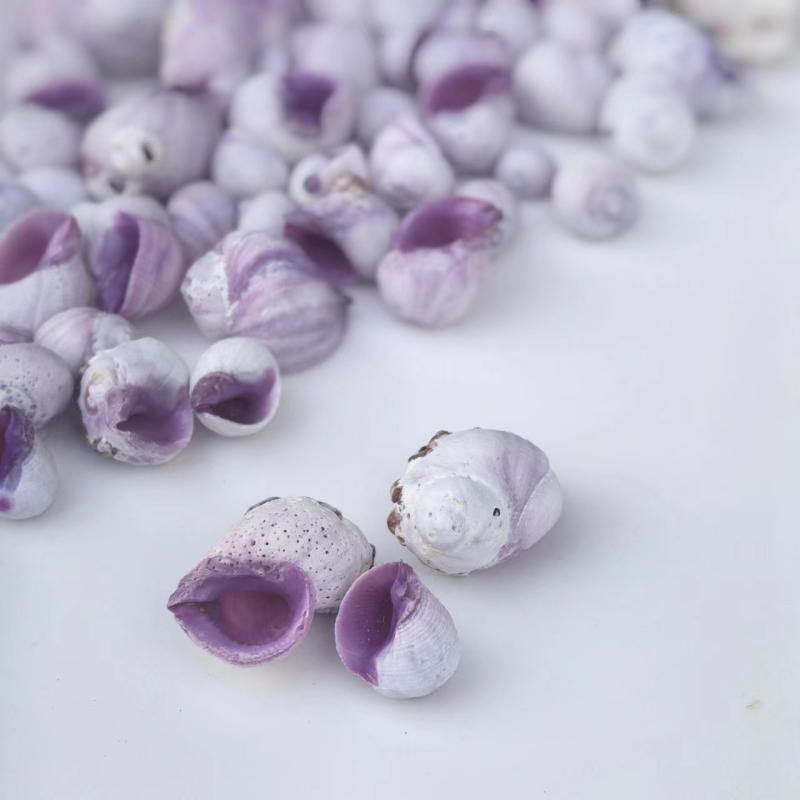 水槽用 ヤドカリ 住み替え シェル 天然 貝殻 巻き貝 アクアリウム レイアウト オーナメント 隠れ家 繁殖用 観賞魚 飼育用品 自然素材 美しい 紫口 珊瑚螺