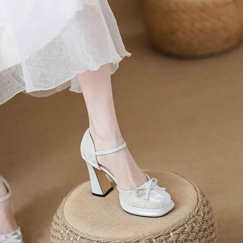 ѥץ ǥ ꡼ѥץ ͥ㥤 ٥٥åĴ ܥ ϥҡ ȥ 󥭡ҡ ɥȥ  ץꥳå...