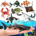 おもちゃ 子供向け キッズ リアル 海洋生物 海の生き物 フィギュア ソリッド カメ サメ カニ クジラ エビ 海底 生物 知育玩具 学習玩具 PVC製 樹脂製...