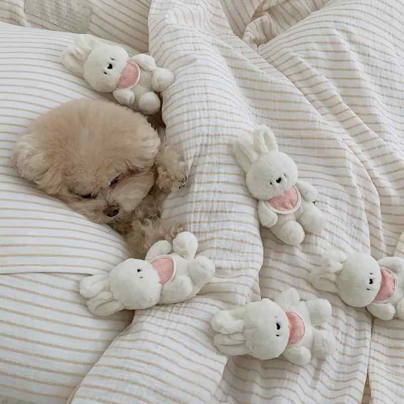 ペット用おもちゃ 犬猫兼用 ウサギ ぬいぐるみ 音が鳴る スクイーカー入り 噛む 歯の健康 添い寝 抱き..