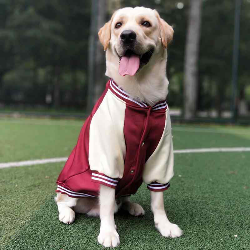 犬服 中大型犬用 ゴールデンレトリバー ラブラドールレトリバー 野球ジャンパー スウェット 厚手 裏起..