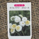  ◆グリGO!春の在庫一掃◆ カモミール 苗  3号ポット苗 ハーブ 苗 ハーブティー 料理 ハーブバス ドライフラワー ポプリ 庭植え