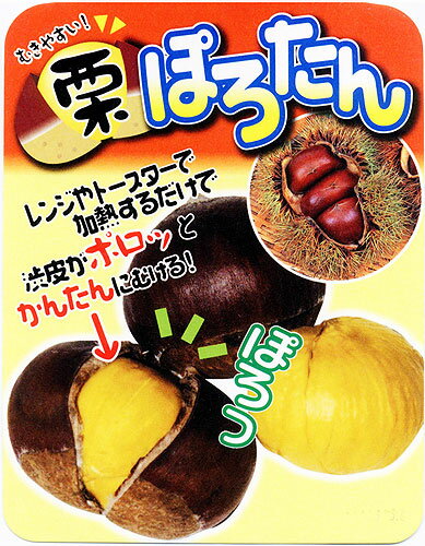 【あいかの香り】《Y台》1年生接木苗わい性台木　リンゴ※納期指定：発送予定2025年1月中旬以降順次または通常発送※[果樹苗木　林檎　りんご]