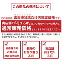 [楽天市場店限定価格]◆在庫一掃！グリGO!春祭り◆ ■優良2年生大苗■ ゆず 苗 【本柚子 （別名: 木頭柚子）】 2年生大苗 接ぎ木 ほんゆず きとうゆず 苗木 常緑 果樹 柑橘 香酸柑橘 柑橘苗木 果樹苗木 2