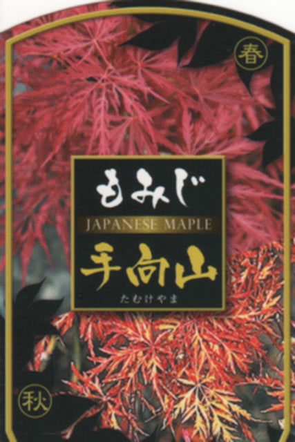 ��ߤ� ���� �ڼ���� �ʤ��ऱ��ޡˡ� ��0.7m �ݥå��� ������ �� �� ���� ���� ���� ����ܥ�ĥ꡼ ���� �ߺ� ���� ���ռ� ����