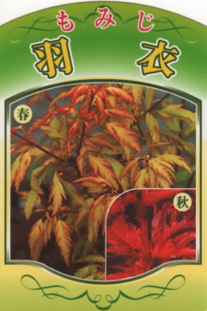 ��ߤ� ���� �ڱ��� �ʤϤ�����ˡ� ��0.7m �ݥå��� ������ �� �� ���� ���� ���� ����ܥ�ĥ꡼ ���� �ߺ� ���� ���ռ� ����