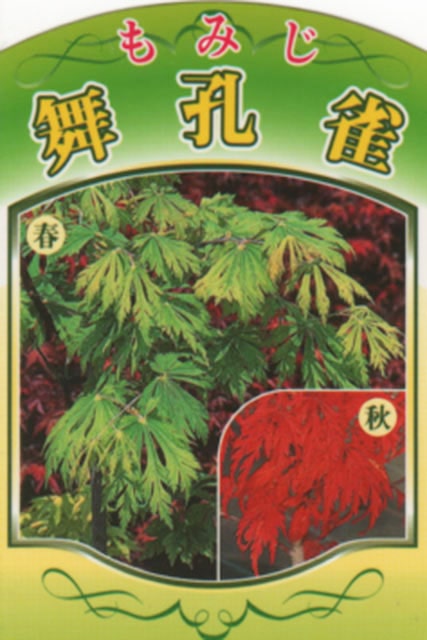 ��ߤ� ���� ���񹦿� �ʤޤ������㤯�ˡ� ��0.7m �ݥå��� ������ �� �� ���� ���� ���� ����ܥ�ĥ꡼ ���� �ߺ� ���� ���ռ� ����