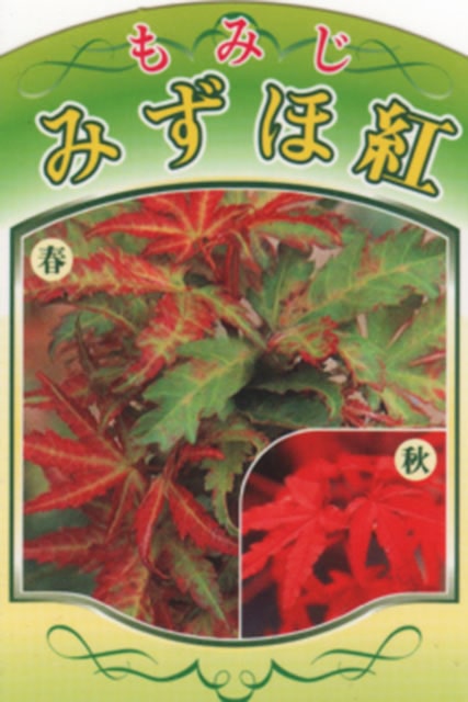 ��ߤ� ���� �ڿ���� �ʤߤ��ۤ٤ˡˡ� ��0.7m �ݥå��� �ߤ��۹� ������ �� �� ���� ���� ���� ����ܥ�ĥ꡼ ���� �ߺ� ���� ���ռ� ����