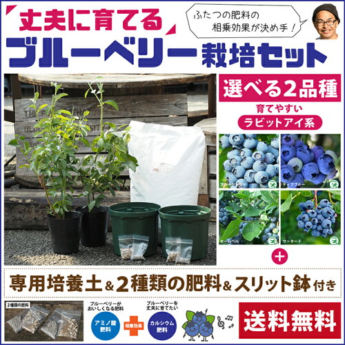 4品種の中からお好きな2品種を選べる栽培セット！専用土・肥料2種類・...