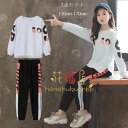 子供服 女の子 セットアップ レジャー 秋服 上下セット キッズ ジャージ 2点セット 学生 スウェット+パンツ ホワイト ピンク プリント 女の子 春服 長袖 長ズボン 韓国 運動着 通学着 ダンス衣装 hiphop K-pop 舞台 団体服 演出服 110cm 120cm 130cm 140cm 150cm 160cm 170cm