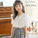 韓国子供服 女の子 シャツブラウス おしゃれ 夏服 キッズ 白いシャツ 半袖 ブラウス お姫様 Vネック レース シャツ ガールズ スウィート ブラウス 誕生日 結婚式 夏着 小学生 トップス ブラウス ホワイト 通学 同窓会 撮影写真 120 130 140 150 160 165 子供服 女の子 シャツ