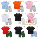子供服 キッズ セットアップ 男女兼用 夏服 シンプル 純綿 上下セット 男の子 女の子 スポーツウェア 子供用 ジャージ ベビー服 半袖Tシャツ+ショーツ 9...