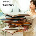クッション 45cm×45cm クッション 畳マット 居間クッション 寝室クッション 出窓クッション 座布団 四角いクッション スクエアクッション 畳 和室 リビングルーム 寝室 体圧分散 腰痛 うつぶせ 分厚い 大人 子供 在宅 疲れない 坐骨 レトロ風 北欧 クッション 防水、防汚(3)