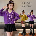 子供服 女の子 ニット セーター 秋冬 新品 暖かい かわいい セーター キッズ 子ども服 長袖 トップス セーター パープル グリーン 誕生日 結婚式 お祝い 秋服 冬服 小学生 ニット セーター おしゃれ 切り替え セーター 大人気 120 130 140 150 160 170(4)