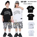 ダンス Tシャツ キッズダンス hiphop K-pop 舞台 団体服 演出服 子供ダンス 黒Tシャツ 白Tシャツ ゼブラ柄 ショーツ 普段着 ダンス 男の子 女の子 ダンスウェア ステージ衣装 パフォーマンスタイド衣装 K-POP 韓国 新作 人気 おしゃれ 110 120 130 140 150 160 170 180