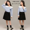 子供服 女の子 フォーマル 2点セット 卒業式 入学式 発表会 七五三 セットアップ キッズ 長袖 シャツ ストライプ柄 ブラウス 黒スカート おしゃれ 誕生日 成人式 同窓会 お姫様 春服 秋服 韓国子供服 オシャレ 記念日 撮影写真 パーティー 春着 秋着 120 130 140 150 160 170