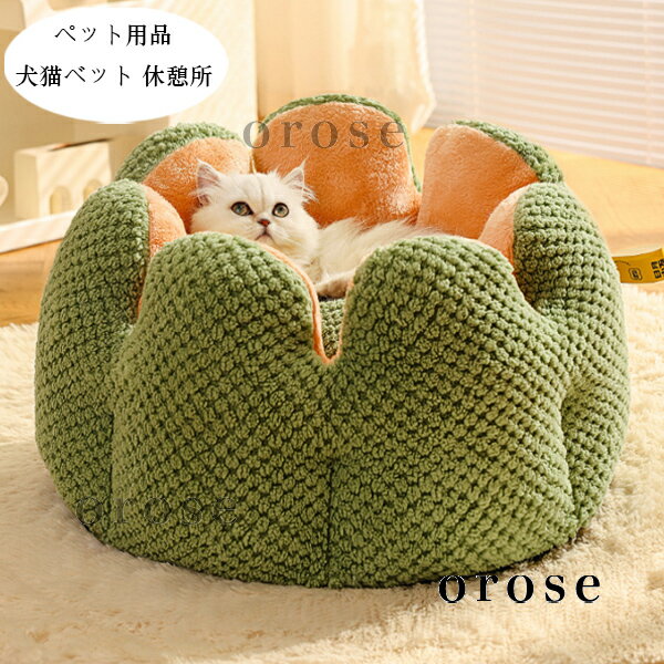 ̵ ڥå  ַ ѥ٥å ǭѥ٥å դդ å ڥåȥϥ ǭϥ   ä̲ å ǭ...