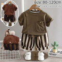 子供 セットアップ キッズ ジュニア 上下セット スウェットセット 半袖 半袖Tシャツ ショットパンツ ストライプ柄 子供服 男の子 女の子 ボーイズ ガールズ...