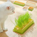 水耕 栽培 猫草 ボックス 1個入 2個入 猫草栽培 キット 猫草プランター 猫草栽培セット 水植物 スプラウター 発芽コンテナー 送料無料 【種の付属なし】