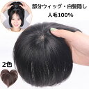 部分ウィッグ 人毛100% 15cm 20cm 25cmウィッグ 自然 女性用 ショート 頭頂部 S M ミニウィッグ 部分かつら 薄毛 脱毛症 白髪隠し ヘア...