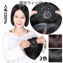 部分ウィッグ 人毛100% 白髪隠しウィッグ 15cm 20cm 25cm 自然 頭頂部 ミニウィッグ 部分かつら 薄毛 抜毛症 分け目 増毛 女性用 ヘアピー...