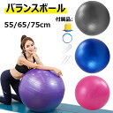 バランスボール ヨガボール 55cm/65cm/75cm エアポンプ付き 体幹トレーニング 美シェイプアップ エクササイズ ダイエット フィットネスボール バラ...