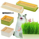 水耕栽培猫草 ボックス 猫草栽培キット 正方形 長方形 2個セット 猫草プランター 猫草栽培セット ネコ草 ねこ草 毛玉ケア 水植物 スプラウター 発芽コンテナ...
